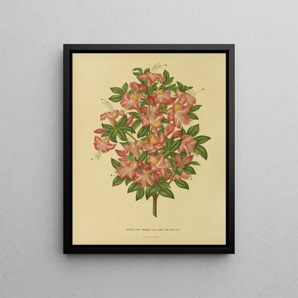 Obraz Holenderska flora i Pomona Pl. 16 - Abraham Jacobus Wendel