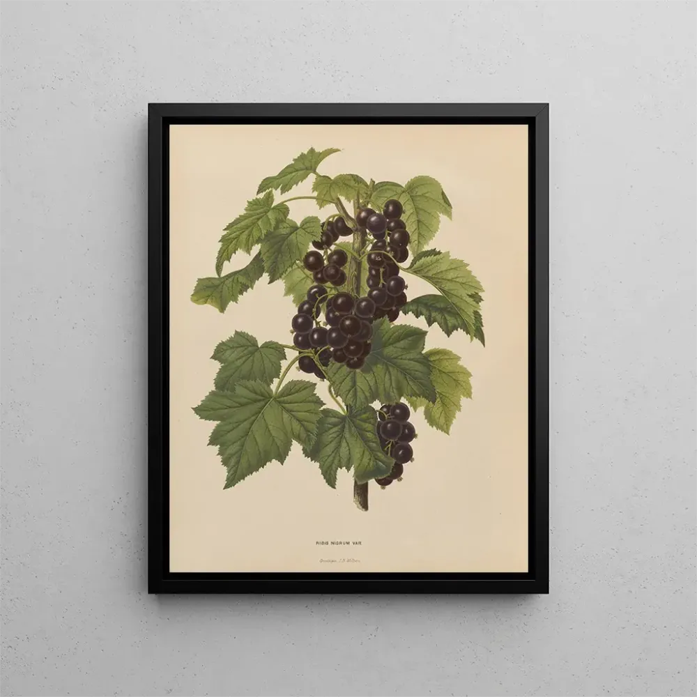 Obraz Holenderska flora i Pomona PL45 - Abraham Jacobus Wendel | Druk artystyczny