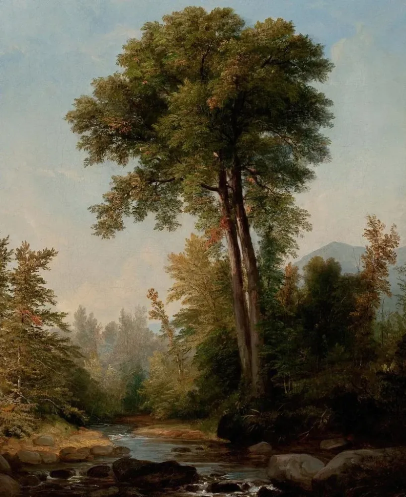 Obraz Naturalny monarcha - Asher Brown Durand | Druk artystyczny