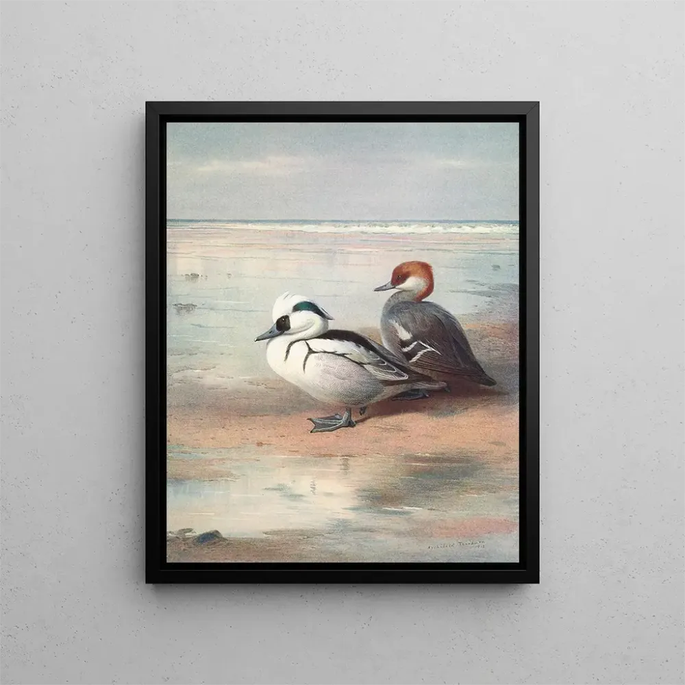 Obraz Smew - Archibald Thorburn | Druk artystyczny