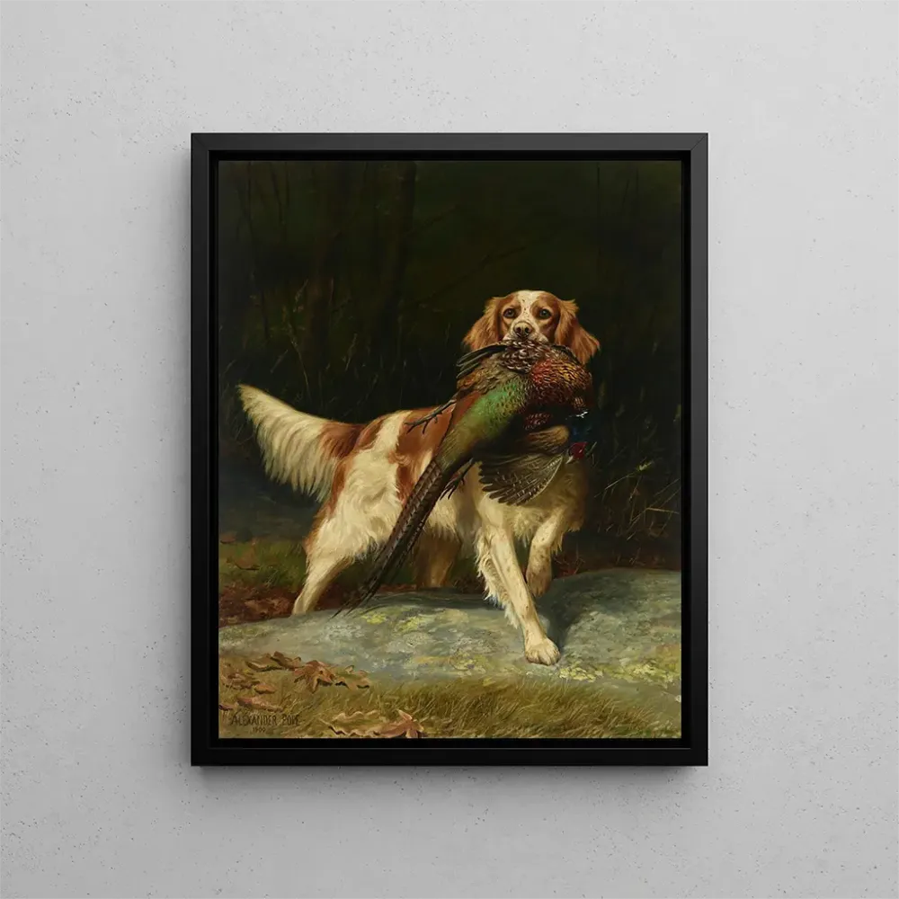 Obraz Springer Spaniel z bażantem - Alexander Pope | Druk artystyczny