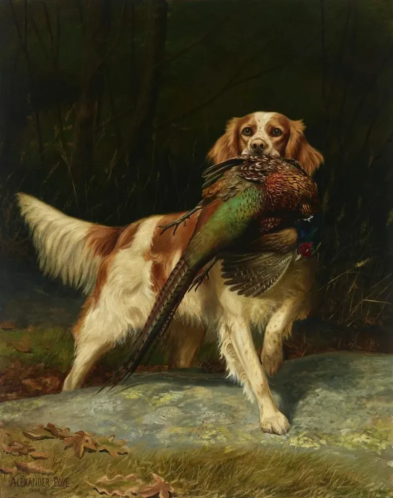 Obraz Springer Spaniel z bażantem - Alexander Pope | Druk artystyczny