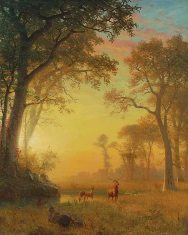Obraz Światło w lesie - Albert Bierstadt | Druk artystyczny