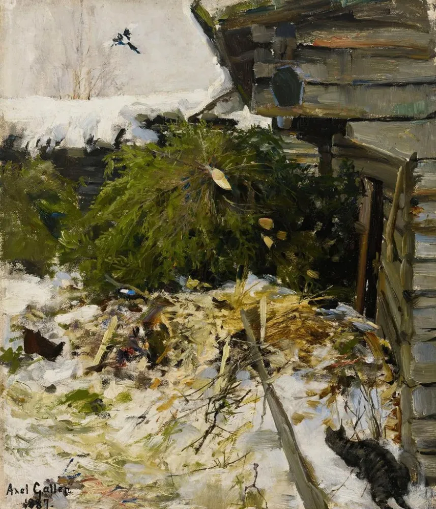 Obraz Świerki na podwórku gospodarskim - Akseli Gallen-Kallela | Druk artystyczny