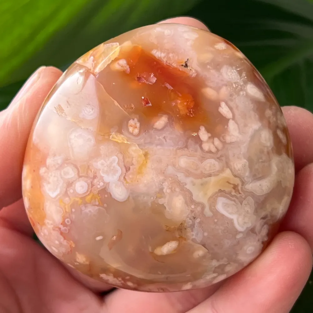 Palmstone agat koralowy czerwony kwiat m24