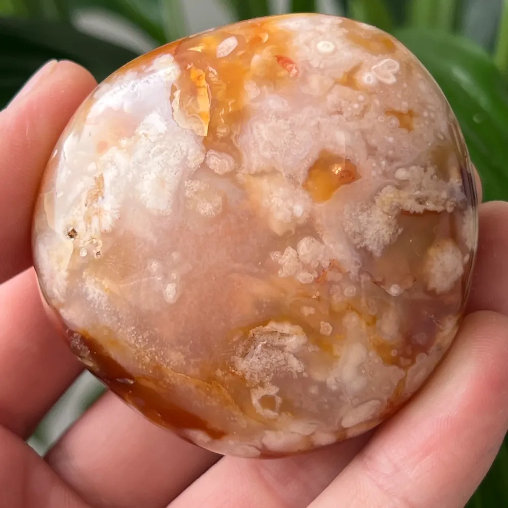 Palmstone agat koralowy czerwony kwiat m24