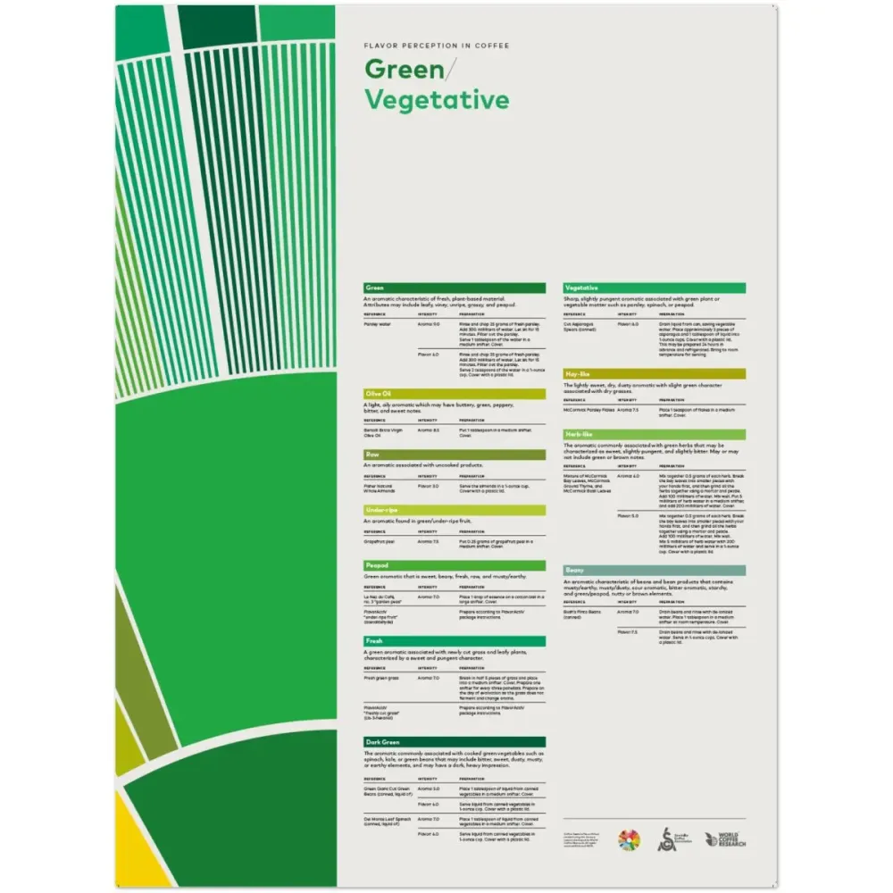 Percepcja smaku w kawie - Green Veg
