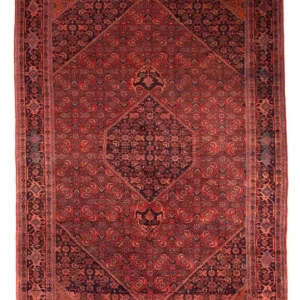 Perski dywan - Bijar - Royal - 327 x 220 cm - ciemna czerwień
