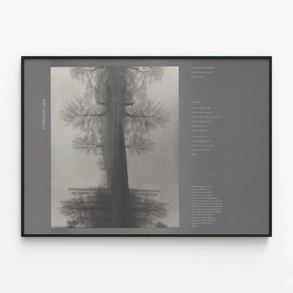 Plakat artystyczny Natura w naturalnym świetle Artem Legrand