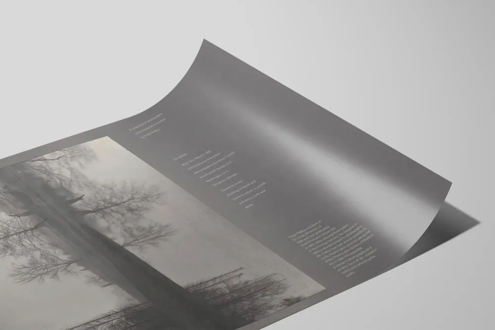 Plakat artystyczny Natura w naturalnym świetle Artem Legrand