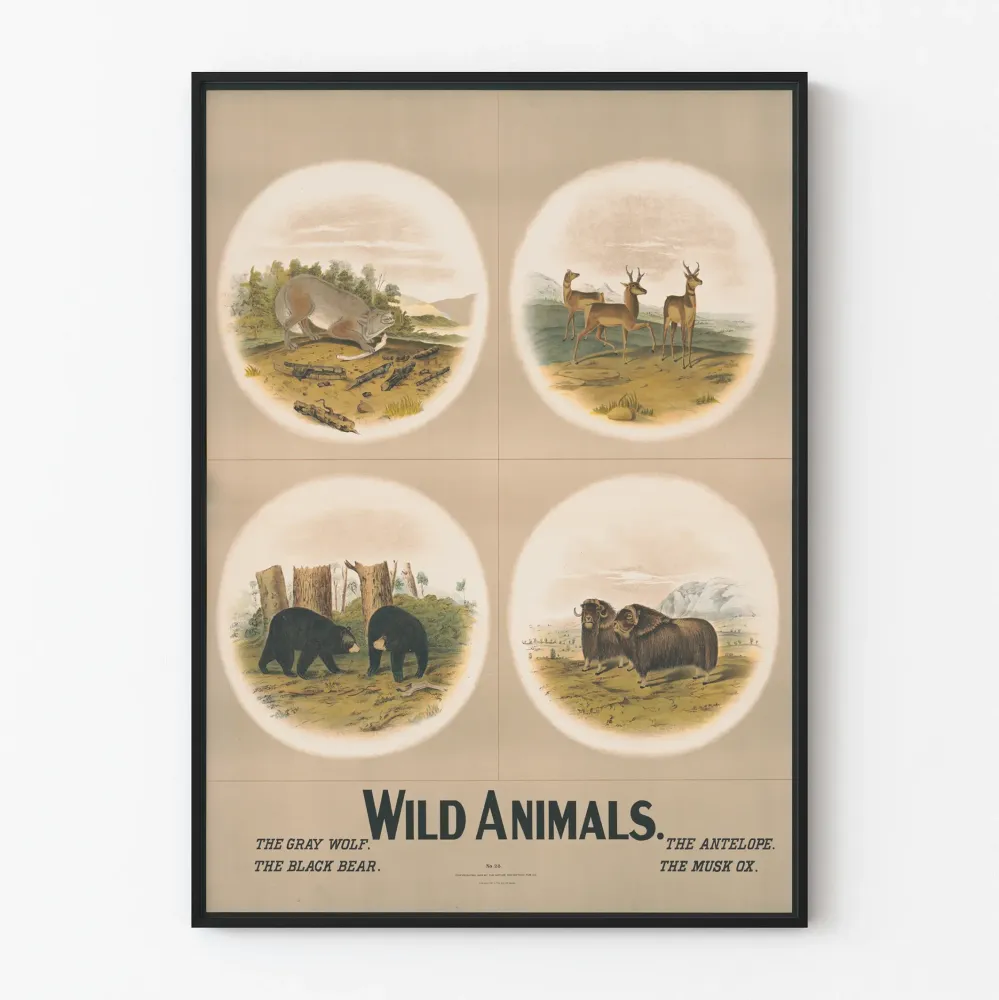 Plakat ścienny vintage z motywem zwierząt dzikich