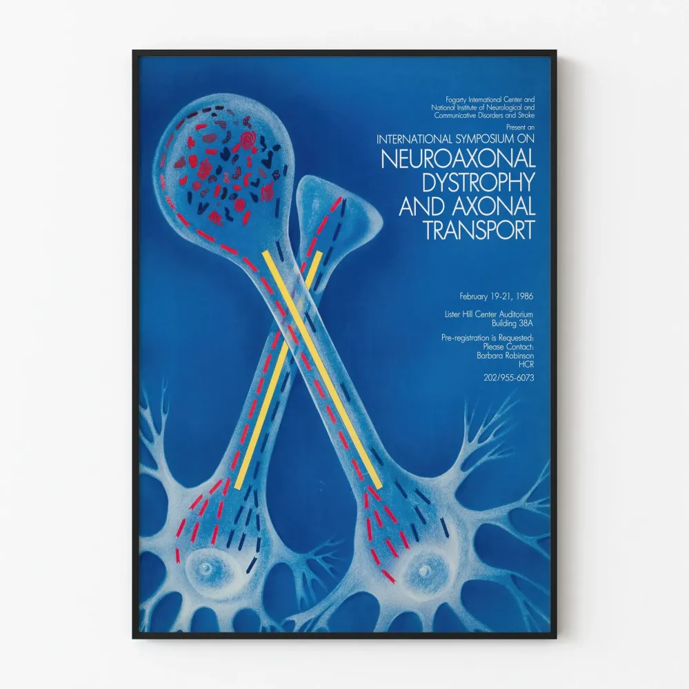 Plakat Międzynarodowej Konferencji na temat Dystrofii Neuroaksonalnej i Transportu Aksonalnego