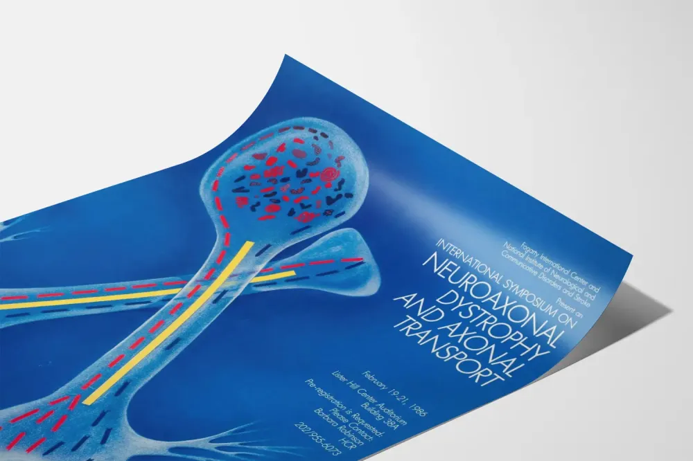 Plakat Międzynarodowej Konferencji na temat Dystrofii Neuroaksonalnej i Transportu Aksonalnego
