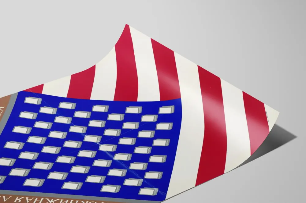 Plakat projektu Many-Booked America do nowoczesnej dekoracji ściennej