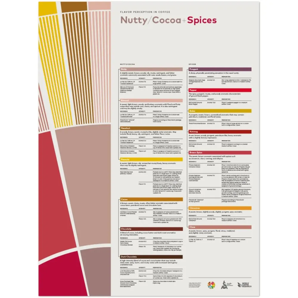 Plakat Smakuppfattning i kaffe - Nutty Cocoa Spices