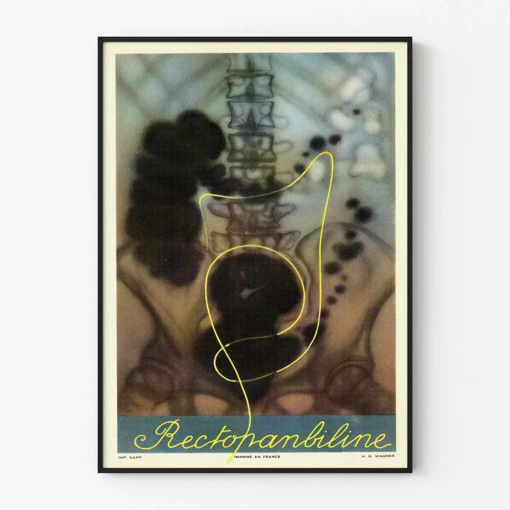 Plakat vintage anatomii medycznej Rectopanbiline
