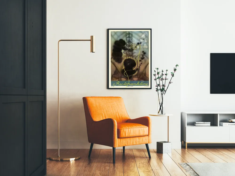 Plakat vintage anatomii medycznej Rectopanbiline