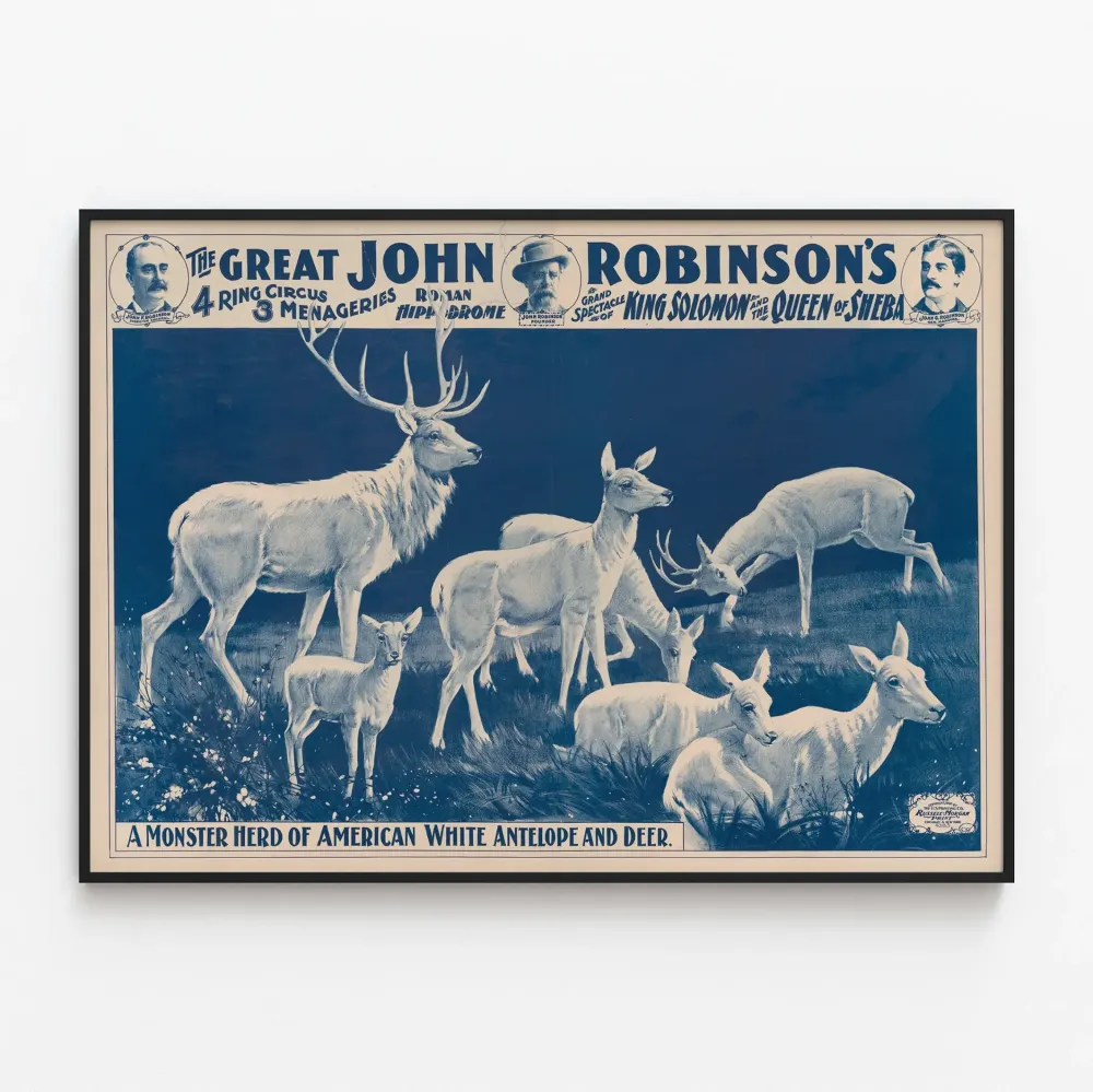 Plakat vintage Cyrk Johna Robinsona z trupą białych antylop i jeleni