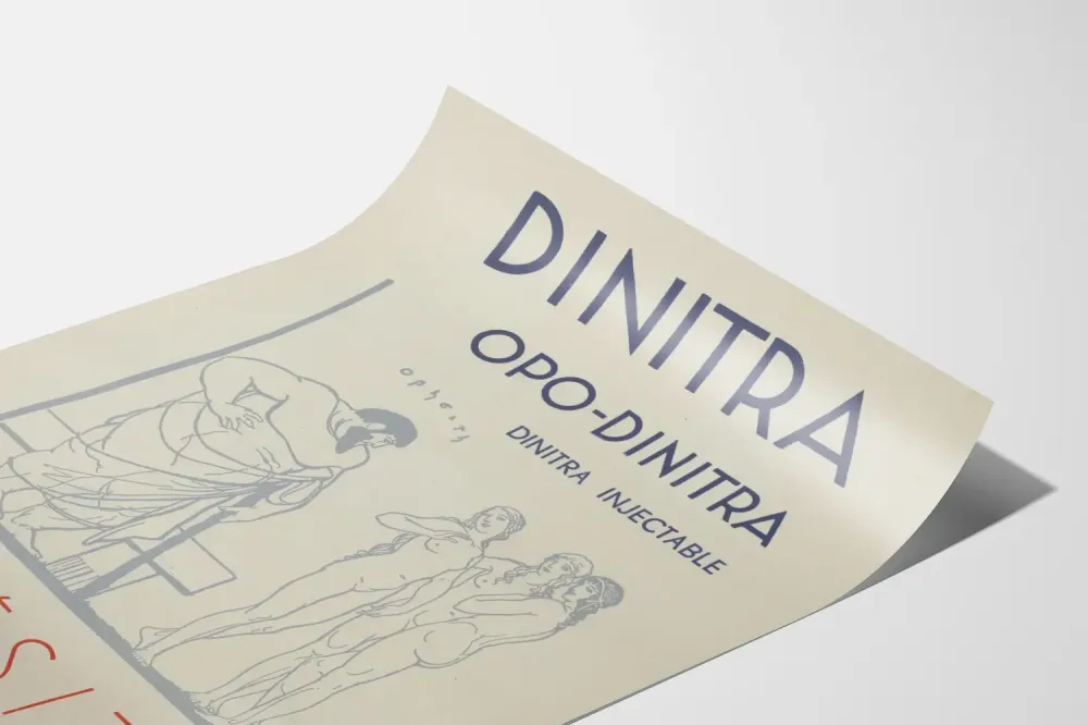 Plakat vintage Dinitra leczenie otyłości i artretyzmu