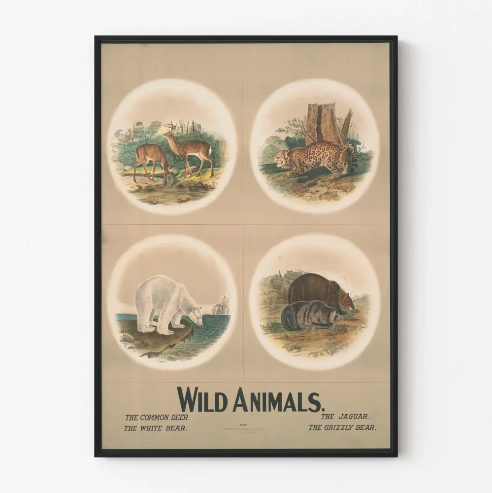 Plakat vintage dzikich zwierząt - jeleń, jaguar, biały niedźwiedź i grizzly
