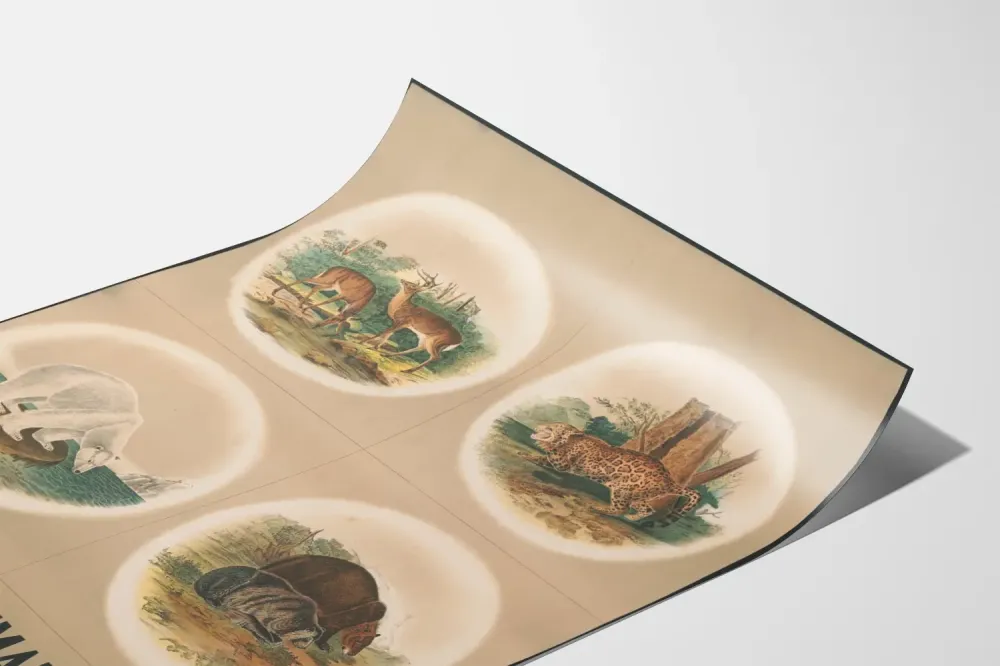 Plakat vintage dzikich zwierząt - jeleń, jaguar, biały niedźwiedź i grizzly