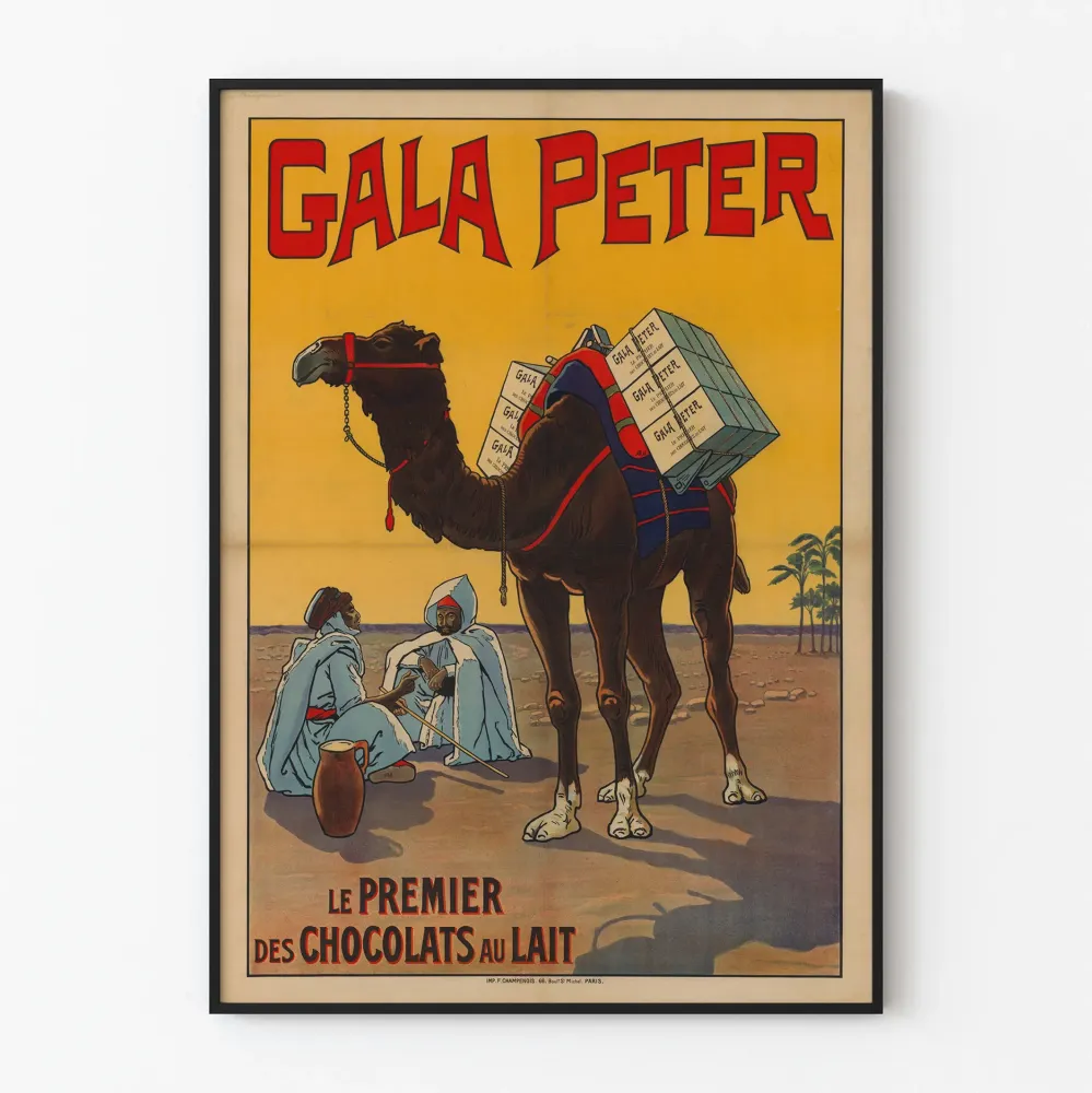 Plakat vintage Gala Peter Czekolady mleczne z wielbłądem