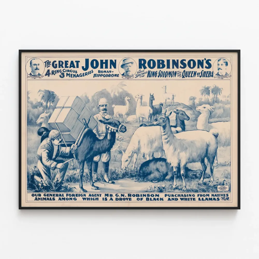 Plakat vintage Johna Robinsona i troupe czarnych i białych lam.