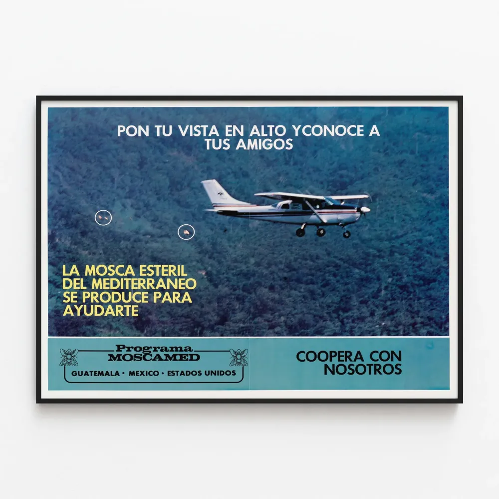 Plakat vintage Program Moscamed Gwatemala Meksyk Stany Zjednoczone