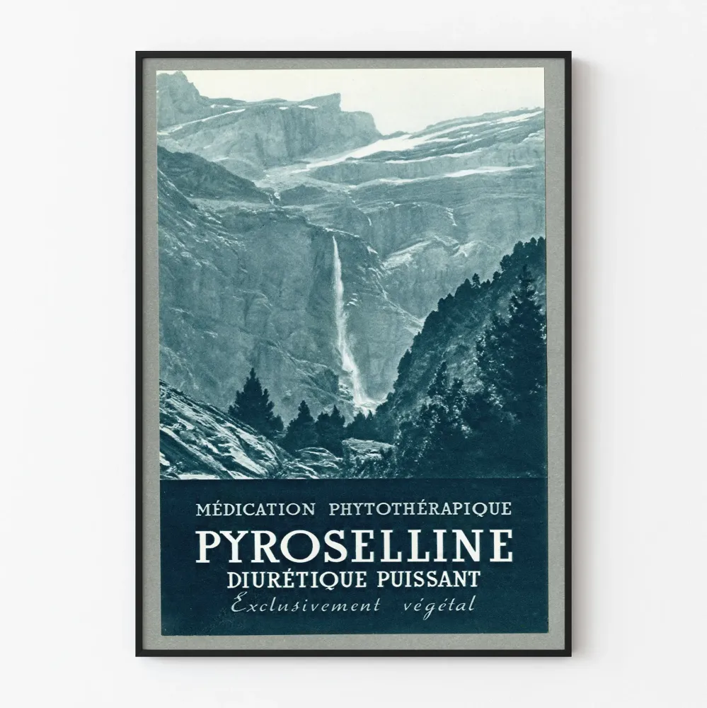 Plakat vintage Pyroselline - medykamenty fitoterapeutyczne diuretyczne