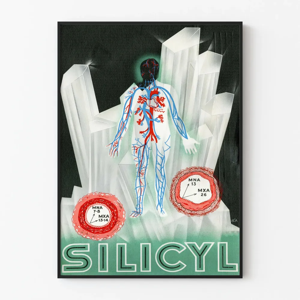 Plakat vintage Silicyl - Ilustracja anatomiczna i kryształy