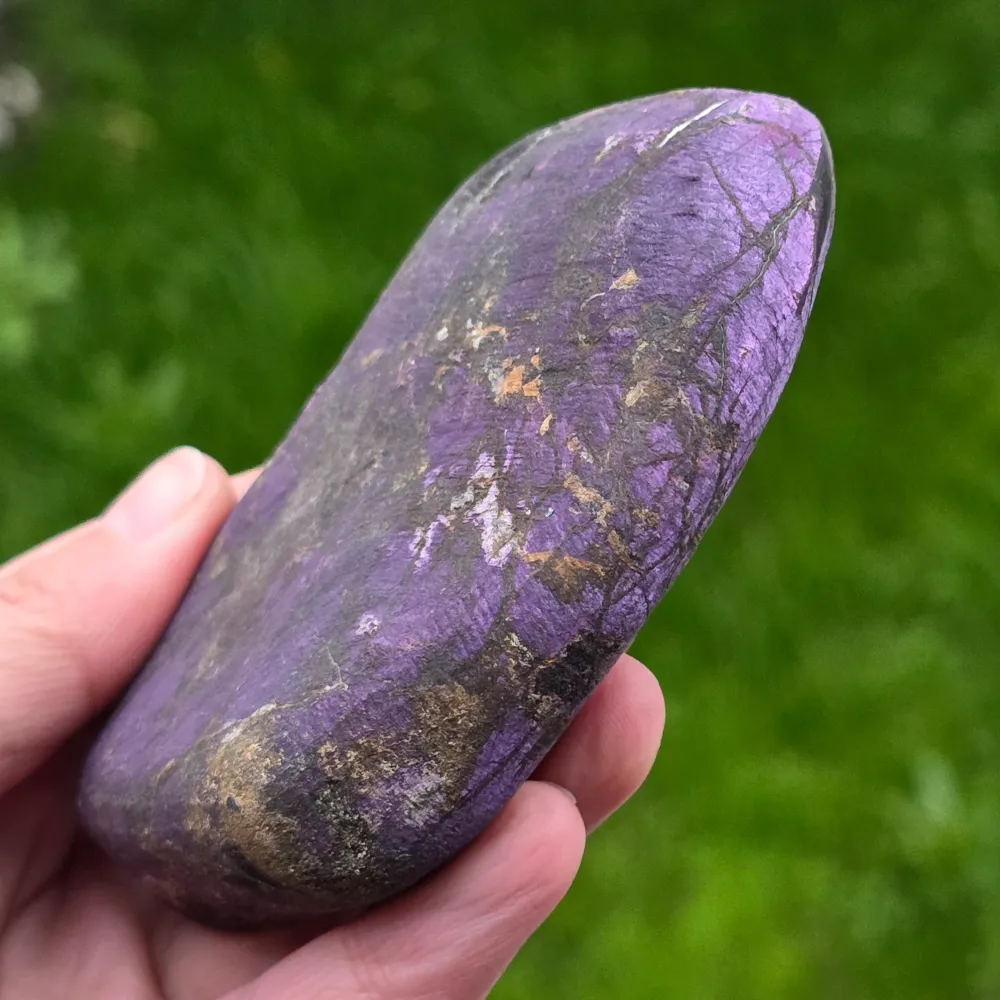 Purple Metallic Erongo Model 6