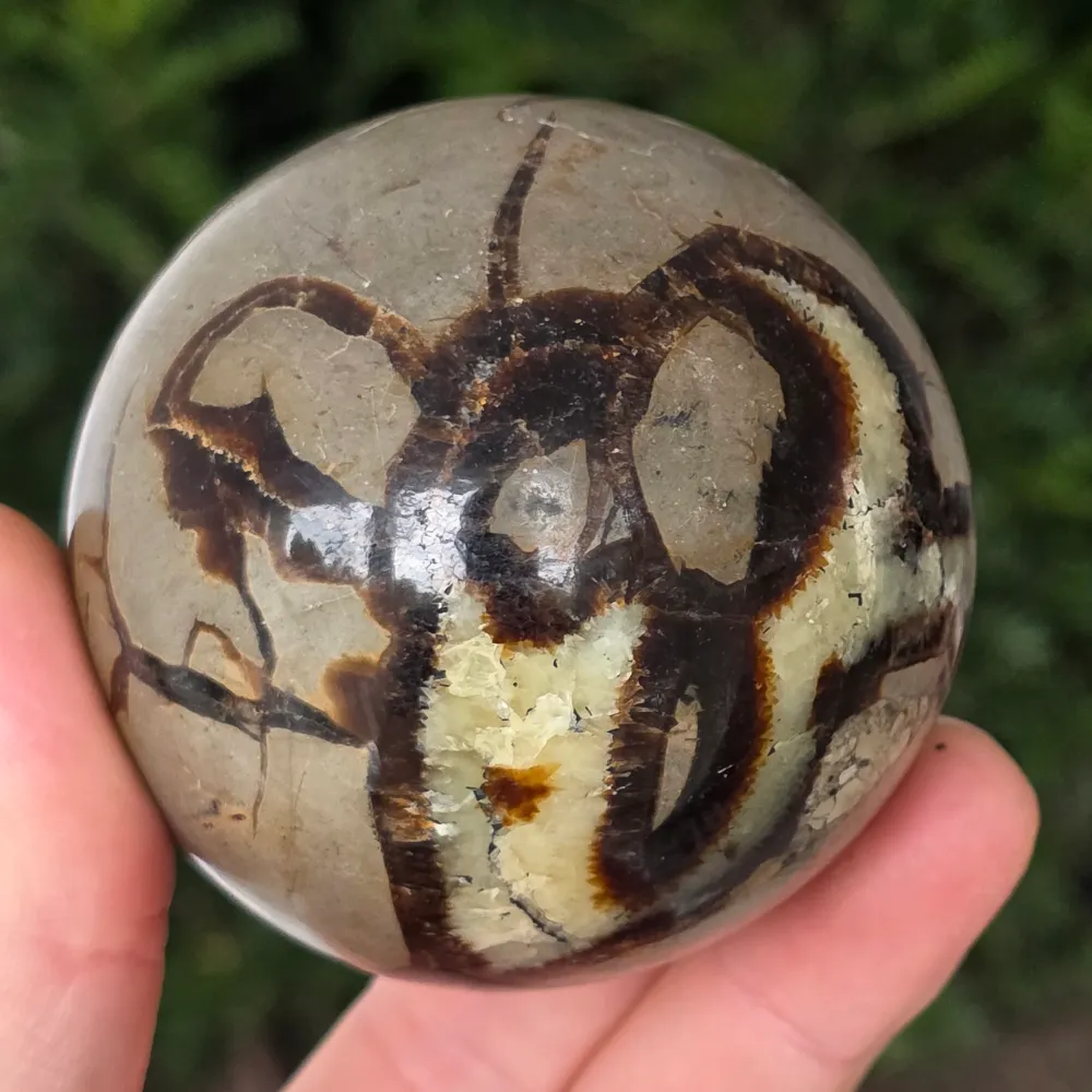 Sfera Septaria | model 10