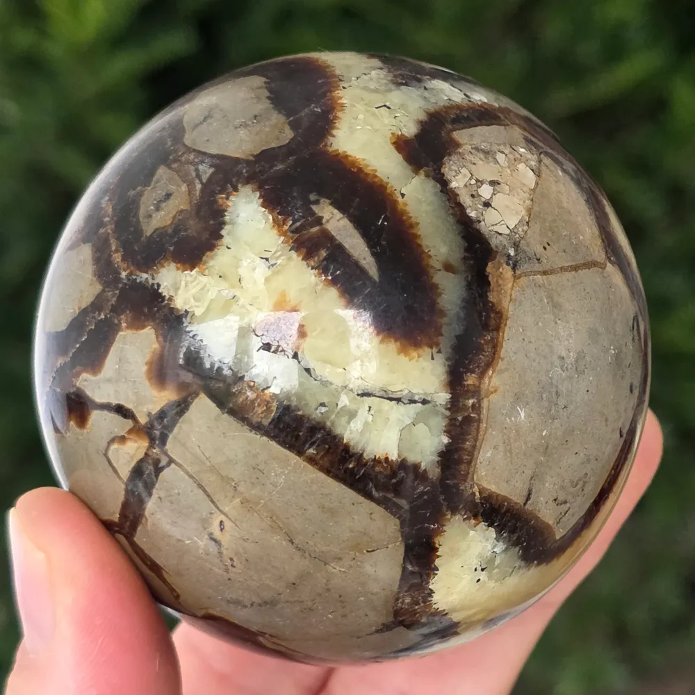 Sfera Septaria | model 10