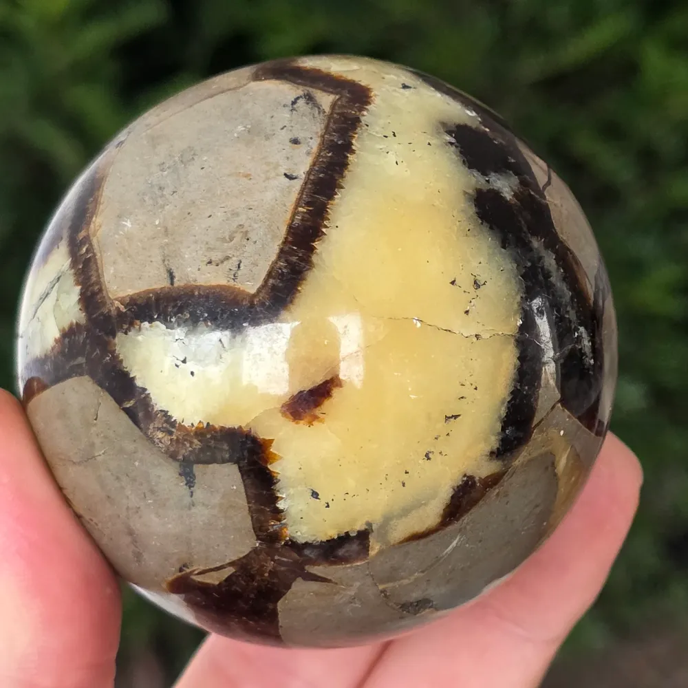 Sfera Septaria | model 10