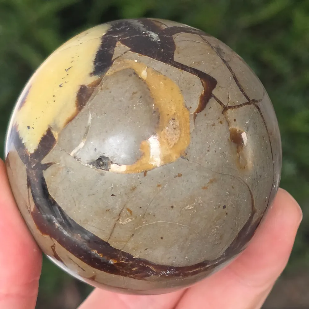 Sfera Septaria | model 10