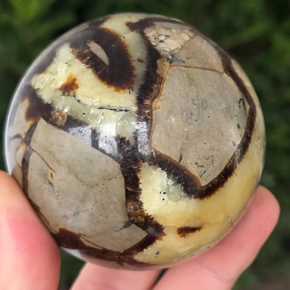 Sfera Septaria | model 10