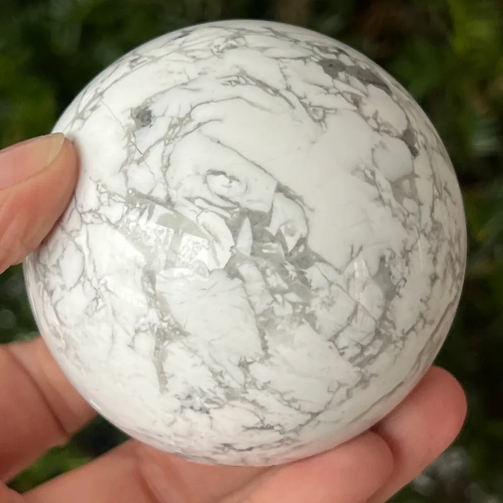 Shell Speara White Model L2