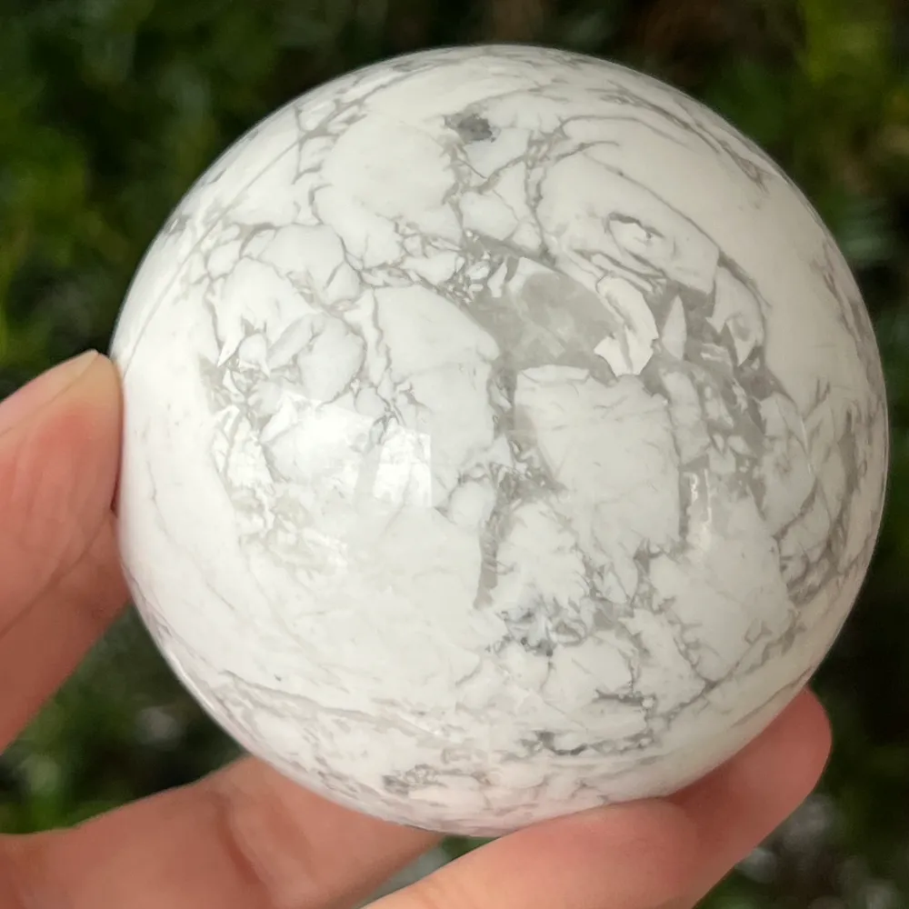 Shell Speara White Model L2