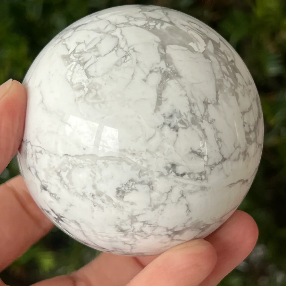 Shell Speara White Model L2
