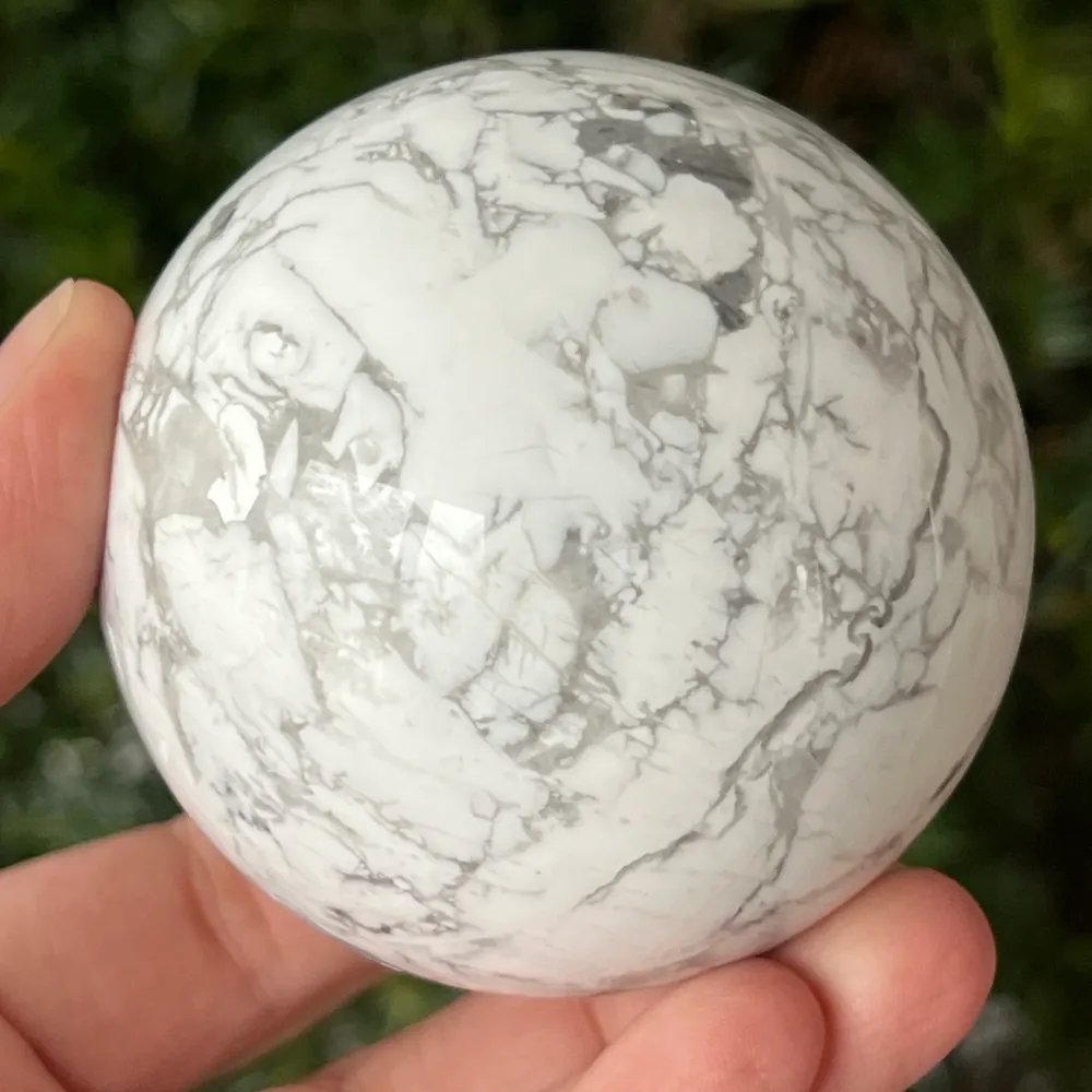 Shell Speara White Model L2