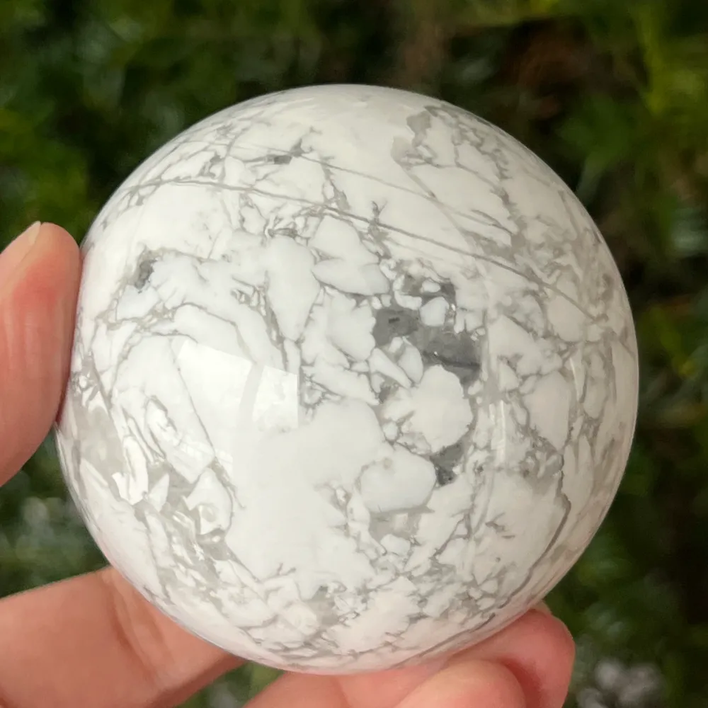 Shell Speara White Model L2