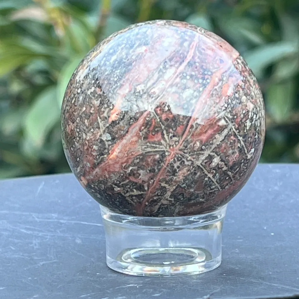 Skórka węż Jasper Sphere z Australii Model 3