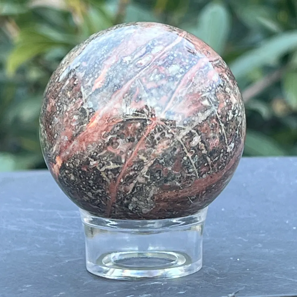 Skórka węż Jasper Sphere z Australii Model 3