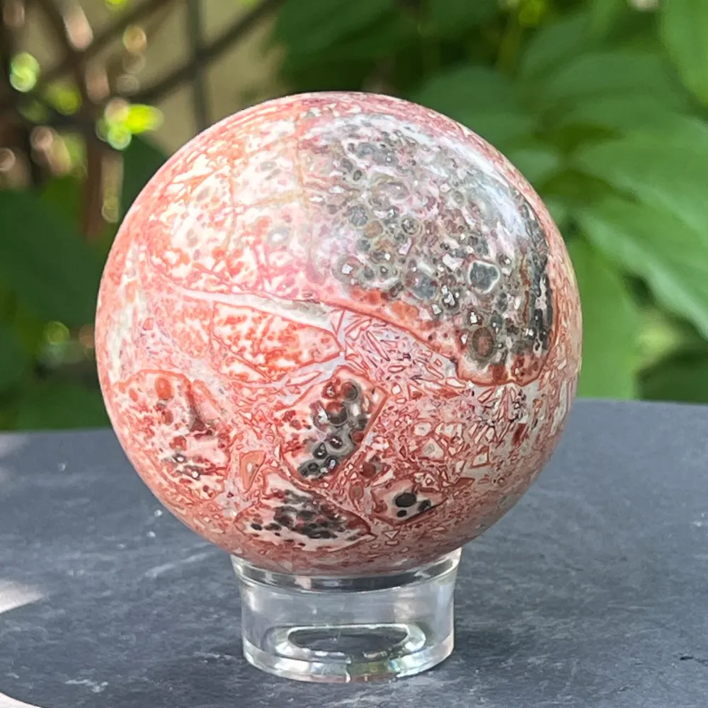 Skórka węż Jasper Sphere z Australii Model 5
