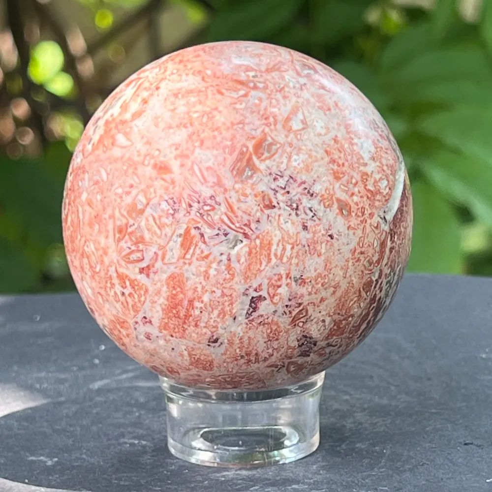 Skórka węż Jasper Sphere z Australii Model 5
