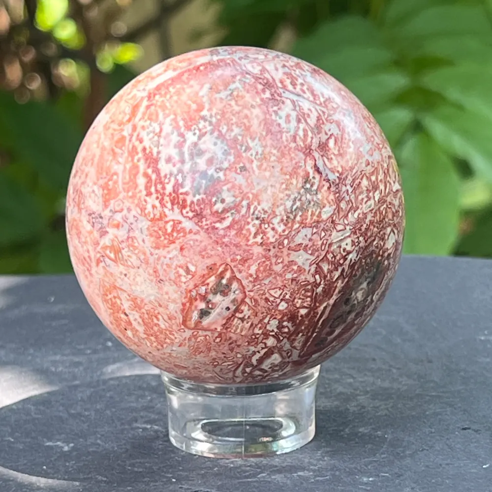 Skórka węż Jasper Sphere z Australii Model 5