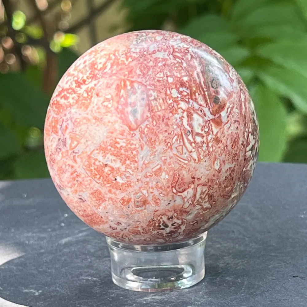 Skórka węż Jasper Sphere z Australii Model 5