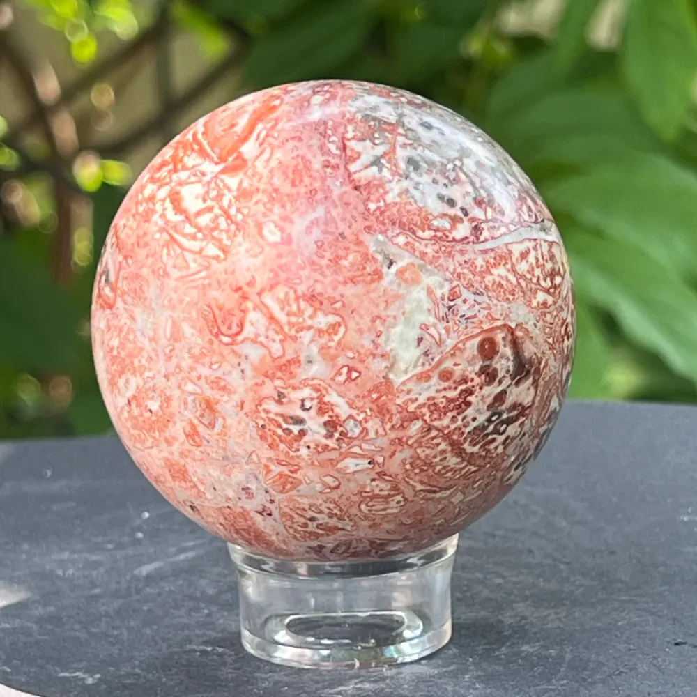 Skórka węż Jasper Sphere z Australii Model 5