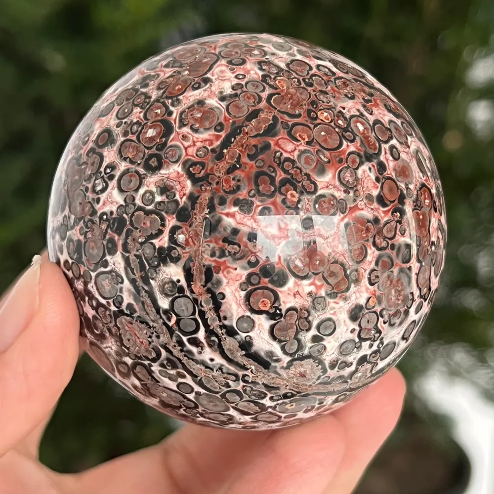 Sphere Jasp Snake Skin w Australii Model 4