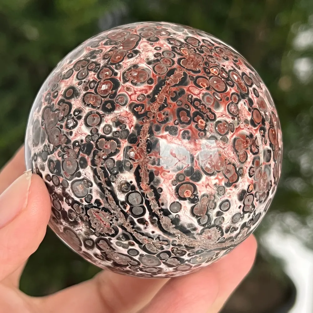 Sphere Jasp Snake Skin w Australii Model 4